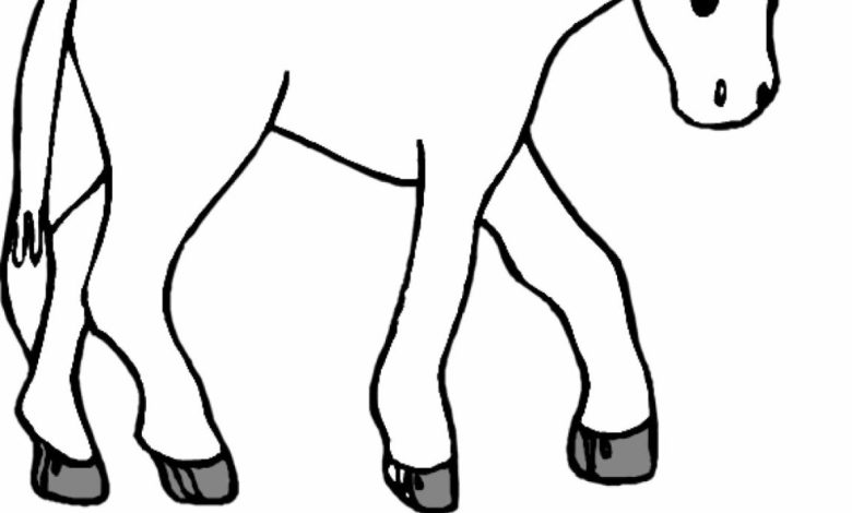 Eşek Boyama Sayfası - Çocuklar İçin Eğlenceli ve Eğitici Faaliyet