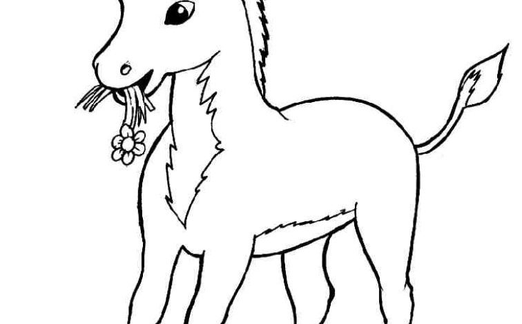 Sevimli Eşek Boyama Sayfası - Çiçek Yiyen Eşek Çocuk Aktiviteleri İçin
