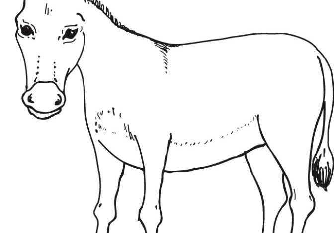 Eşek Boyama Sayfası - Çocuklar İçin Eğlenceli Boyama Sayfası