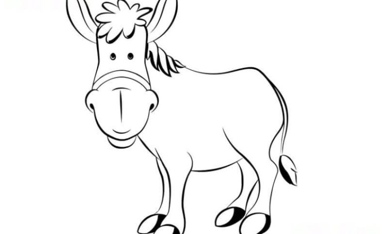 Çocuklar ve Yetişkinler İçin Eşek Boyama Sayfası - Hayvan Boyama Kitabı