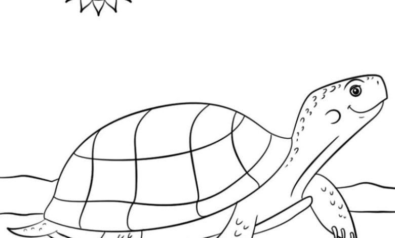 Sevimli Kaplumbağa ve Gülümseyen Güneş Boyama Sayfası