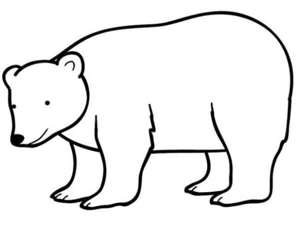 Sevimli Kutup Ayısı Boyama Sayfası