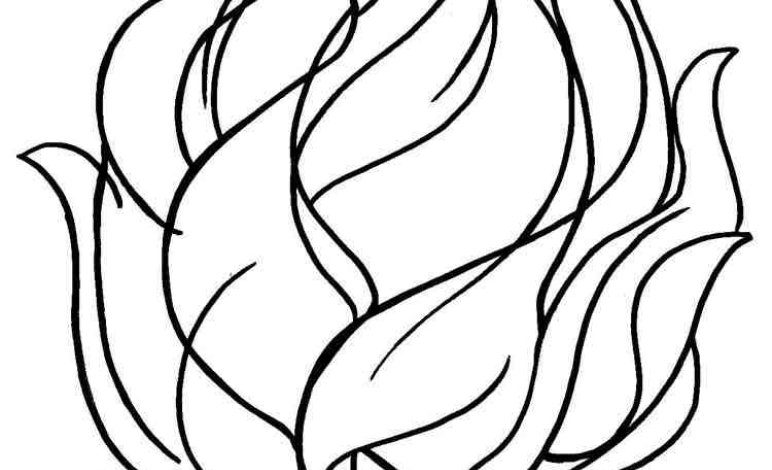 Kamp Ateşi Çizimi Boyama Sayfası - Eğitici ve Eğlenceli