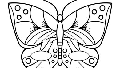 Kelebek Boyama Sayfası Çizimi