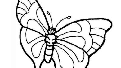 Geniş Kanatlı Kelebek Boyama Sayfası Eğlenceli ve Öğretici Tasarım