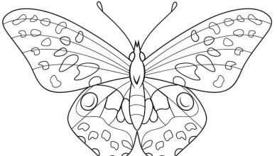 Çocuklar için Eğlenceli Kelebek Boyama Sayfası