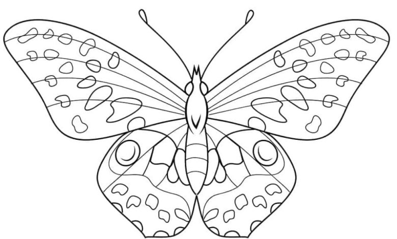 Çocuklar için Eğlenceli Kelebek Boyama Sayfası