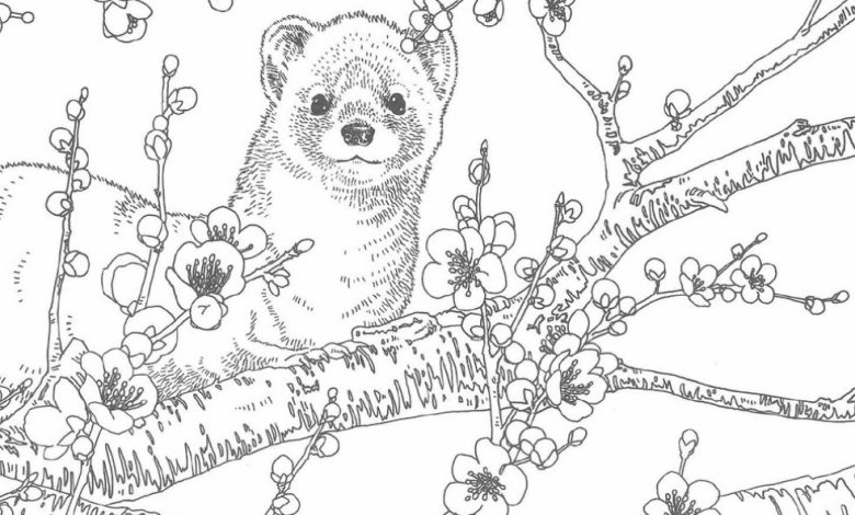 Blossom Ağacında Oynayan Sevimli Samur Boyama Sayfası