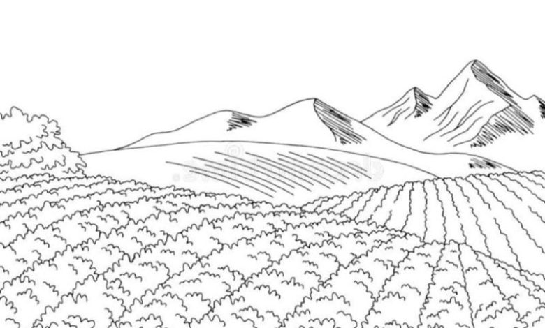 Dağ ve Tarla Manzaralı Boyama Sayfası Doğa Temalı Etkinlikler için İdeal