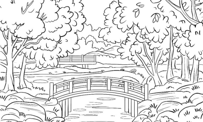 Doğal Manzara Boyama Sayfası Köprü, Ağaçlar ve Nehir