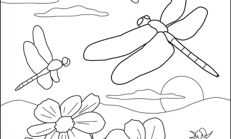 Çiçekler ve Yusufçuklar Boyama Sayfası Doğayı Keşfet!