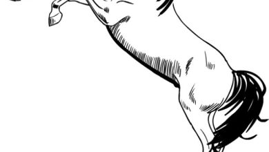 Şahlanan At Boyama Sayfası - Ücretsiz Boyama Sayfası İndir