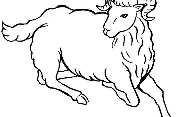 Koç Boyama Sayfası - Çocuklar İçin Eğlenceli ve Eğitici Koyun Resmi