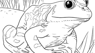 Kurbağa Göl Kenarında Boyama Sayfası Göz Alıcı Detaylar ve Büyük Gözler