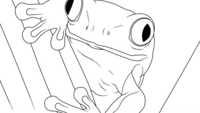 Kurbağa Boyama Sayfası - Çocuklar İçin Eğlenceli ve Eğitici Sanat Aktivitesi