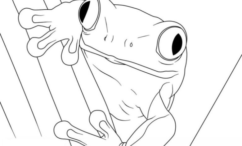 Kurbağa Boyama Sayfası - Çocuklar İçin Eğlenceli ve Eğitici Sanat Aktivitesi