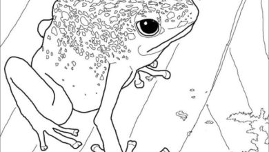 Kurbağa ile Çocuklar için Doğal Hayat Boyama Sayfası