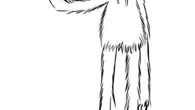 Sevimli Canavar Boyama Sayfası Eğlenceli Karakter Tasarımı