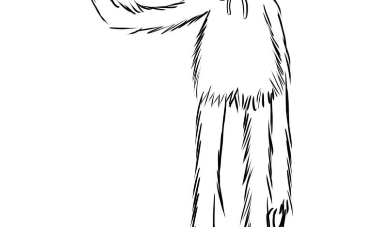 Sevimli Canavar Boyama Sayfası Eğlenceli Karakter Tasarımı