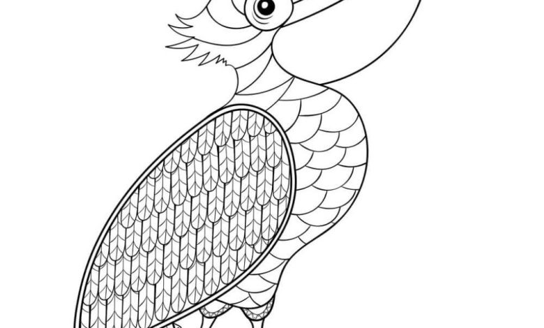 Pelikan Boyama Sayfası Detaylı Desenli Eğlenceli Tasarım