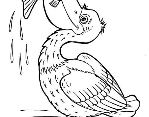 Pelikan Balık Yerken Boyama Sayfası - Doğal Yaşam Temalı Çizim