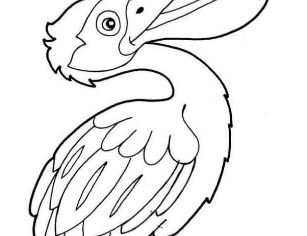 Pelikan Boyama Sayfası Kuş Sanatı ve Eğlence