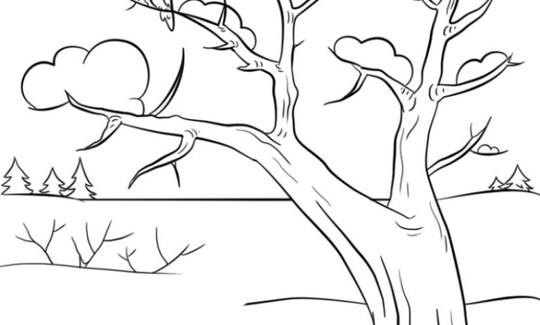 Kış Temalı Ağaç ve Kuş Boyama Sayfası