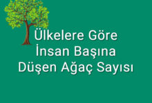 Ülkelere göre insan başına düşen ağaç sayısı