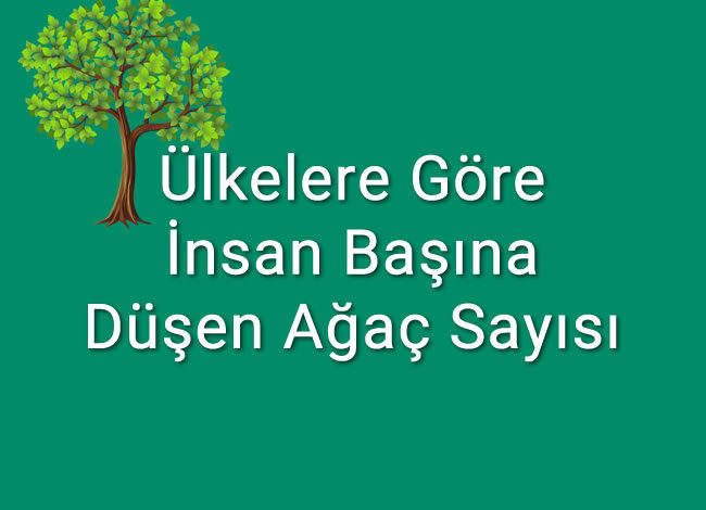Ülkelere göre insan başına düşen ağaç sayısı